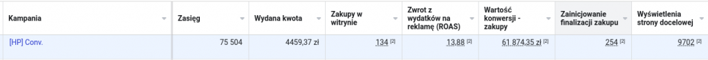 Wyniki kampanii reklamowej Meta Ads