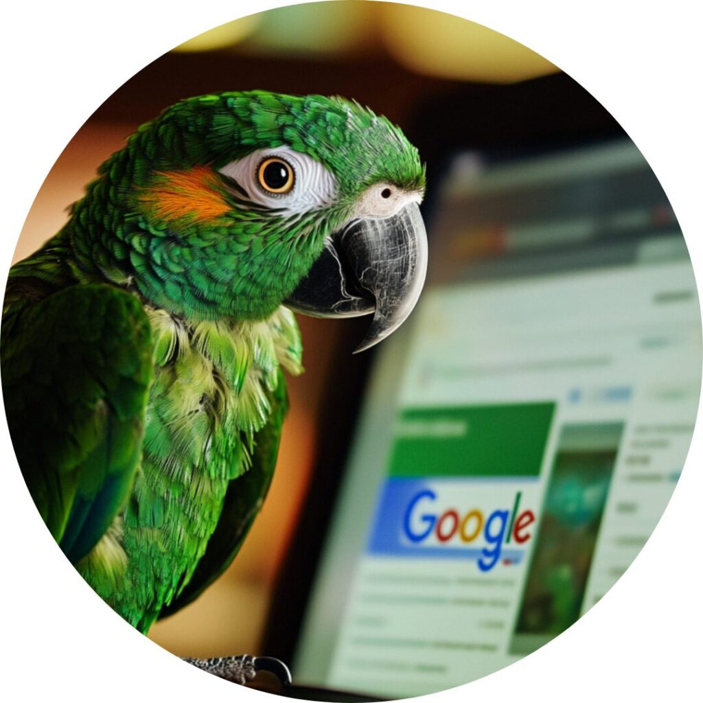 Profil zielonej papugi patrzącej na ekran z napisem „Google”